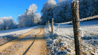 Snowy road fence trees bridge - in the foreground free wallpaper