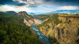 River flowing lush green forest 2 - a river running free wallpaper