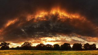 Horse field cloudy sky trees - stormy weather free wallpaper