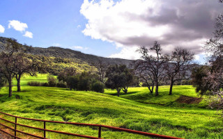 Lush green hillside trees fence - a mountain in the distance free wallpaper