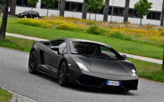Black sports car green field - a lush green field free wallpaper