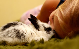 Little girl rabbit laying down - a little girl free wallpaper