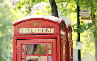 Red telephone booth park tree - david young cameron free wallpaper
