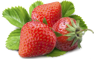 Three strawberries green leaves precisionism - green leaf free wallpaper for desktop