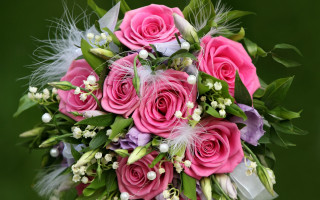 Pink roses feathers green background - a bouquet free wallpaper