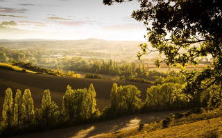 Valley trees hills sunbeam autumn - tree and hills free wallpaper