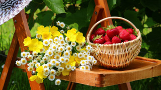 Basket strawberries daisies garden folk - folk art free wallpaper for desktop