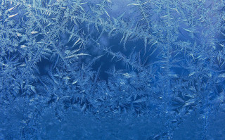 Frosty window blue sky leaves - the window sill free wallpaper