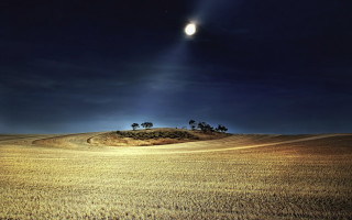 Moon field trees night bright - bright free wallpaper