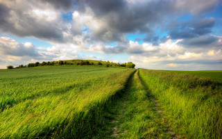 Dirt road field cloudy sky 2 - a dirt road in a field free wallpaper