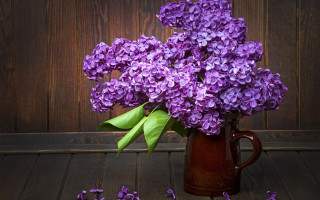 Purple hydrangea vase wooden table - david budd free wallpaper