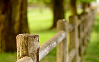 Wooden fence tree grass bokeh - a grassy area in the background free wallpaper