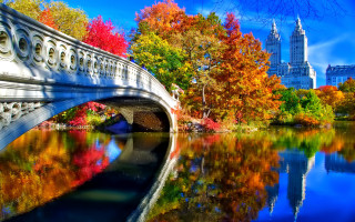 Autumn bridge river city trees - a bridge over a river free wallpaper