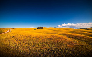 Dirt road field trees ocean - the distance free wallpaper
