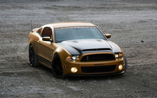 Gold mustang hood dirt light - a hood free wallpaper