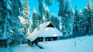 Snowy cabin woods branch blue - covered ground free wallpaper