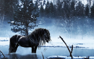 Horse snowy lake trees fantasy - matte fantasy painting free wallpaper