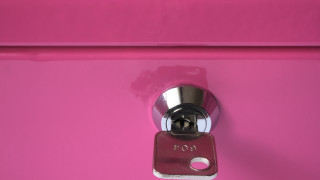 Pink toilet metal handle button - eden box free wallpaper