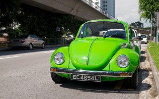 Green car bridge building forest - a green car free wallpaper