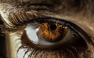 Eye closeup brown eyeliner long - macro len free wallpaper