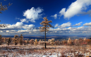 Winter sky trees lake coast - the middle of it free wallpaper