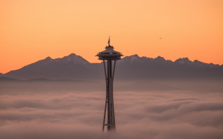 Tower foggy sunset bird matte - a sunset in the background and a bird free wallpaper
