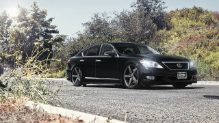 Black car road trees sunny - rim free wallpaper