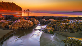 Beach rocks water sunset tree 2 - sunset free wallpaper