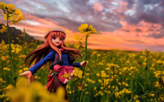Doll field flower sunset pink - a field of flowers free wallpaper
