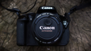 Camera lens on tree trunk - a cord free wallpaper