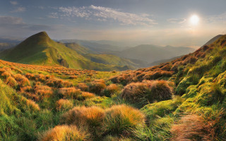 Grassy valley mountain sunset forest - ada hill walker free wallpaper for desktop
