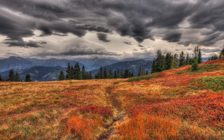 Mountain trail autumn forest sunset - the hillside free wallpaper