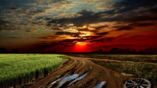 Dirt road sunset grass puddle - a dirt road free wallpaper