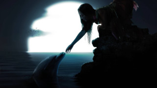 Woman dolphin night moonlight dreamlike - a dolphin free wallpaper