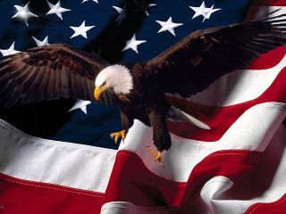 Eagle flying flag stars wings - back side free wallpaper