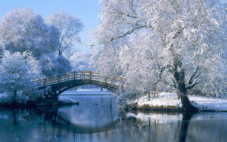 Bridge river snow trees small - the middle free wallpaper