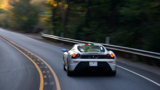 Car road trees sign motion - the back of the car free wallpaper