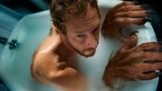Bearded man bathtub portrait furry - a bathtub free wallpaper