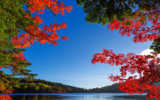 Lake trees autumn leaves blue - a lake free wallpaper