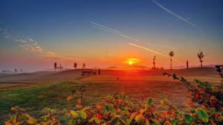 Sunset grassy field bench trees - sunrise free wallpaper