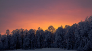 Sunset trees snow field winter - the foreground and a snow free wallpaper