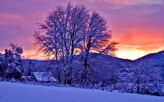 Sunset snow covered field trees 3 - the foreground and mountains free wallpaper