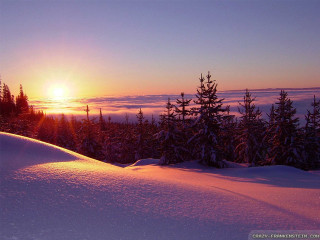 Sunset snowy mountain trees foreground - a foggy sky in the background free wallpaper
