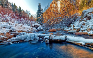 Winter forest stream ice rocks - snow and ice free wallpaper