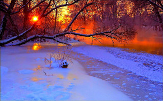 River tree branch sunset snow - an impressionist painting free wallpaper