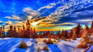 Sunset snowy landscape trees blue - a blue sky free wallpaper