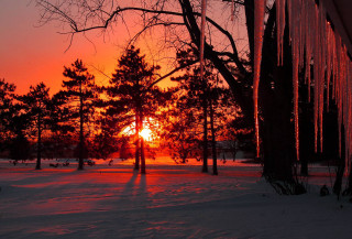 Sunset trees snow person winter - a sunset in the distance free wallpaper
