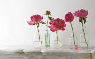 Vases flowers mantle marbled background - annabel kidston free wallpaper