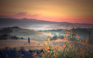 Sunset hills trees bushes landscape - correggio free wallpaper
