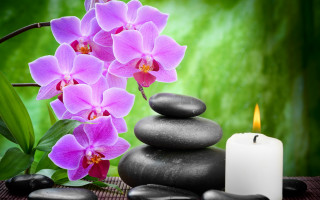 Candle rocks flower table green - bracha l. ettinger free wallpaper